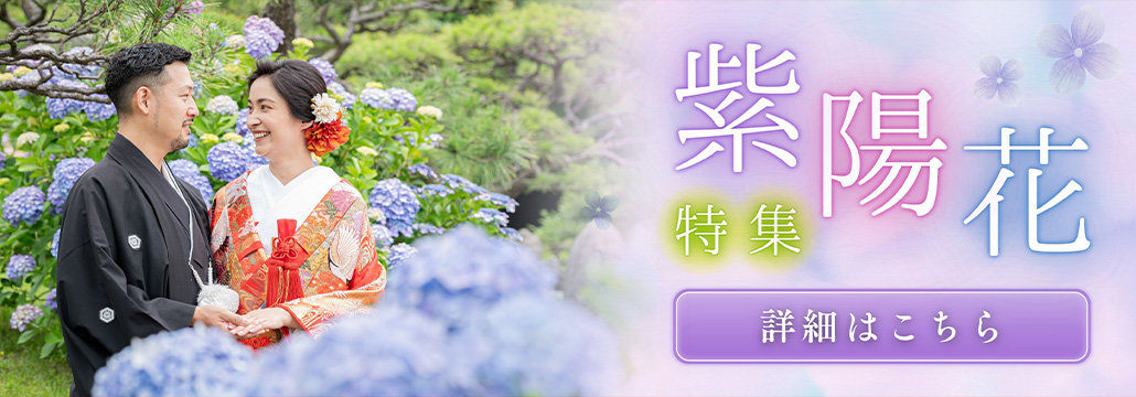 2026年紫陽花特集