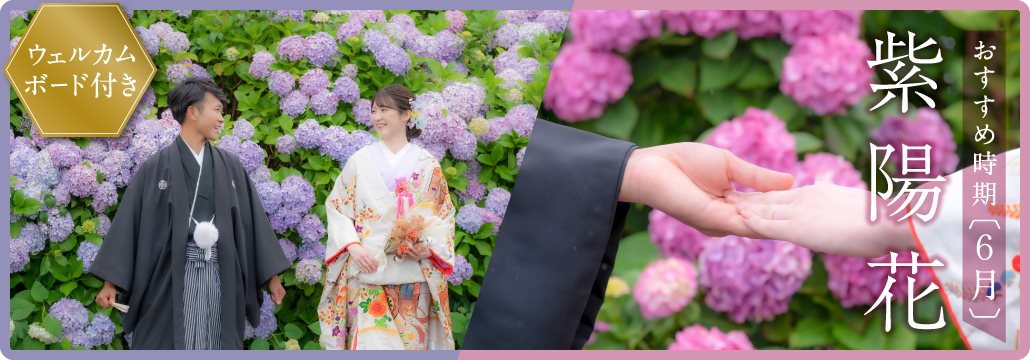 紫陽花が咲く6月がおすすめの和装フォト。ウェルカムボード付き撮影プラン
