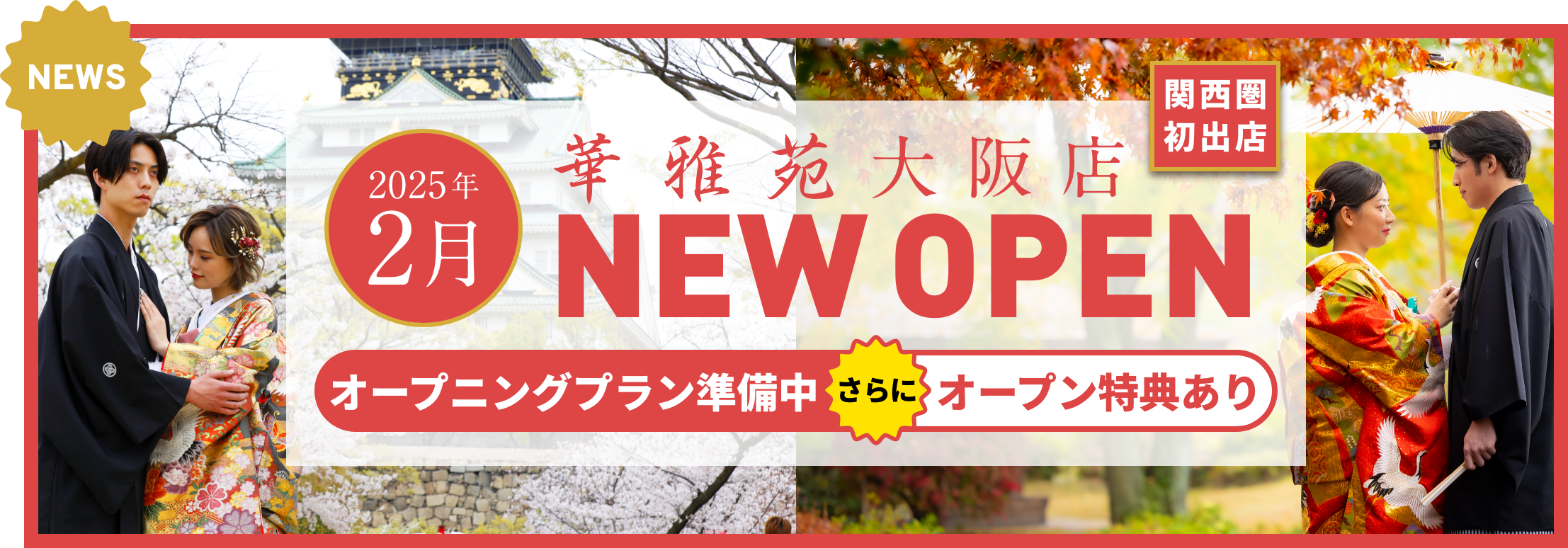 8月限定